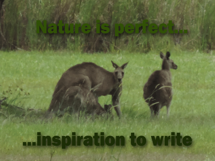Nature inspires writing